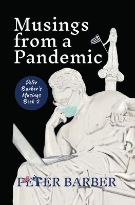 bokomslag Musings from a Pandemic