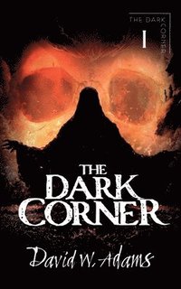bokomslag The Dark Corner