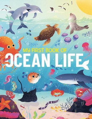 Eliza Jeffery - My First Book of Ocean Life, Inbunden