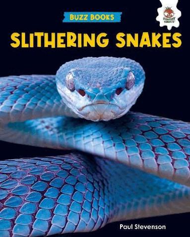 Paul Stevenson - Slithering Snakes, Häftad