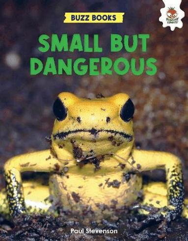 Paul Stevenson - Small But Dangerous, Häftad
