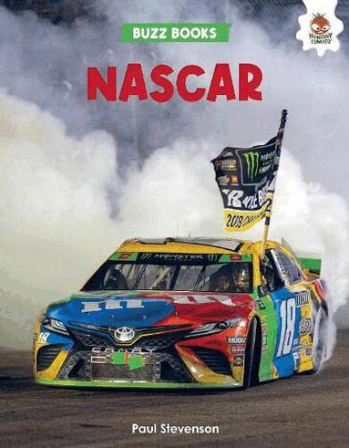 Paul Stevenson - Nascar, Häftad