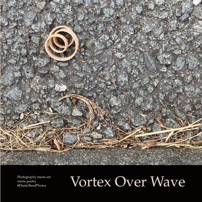 Sue Finch - Vortex Over Wave, Häftad