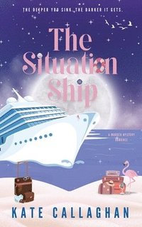 bokomslag Situation Ship