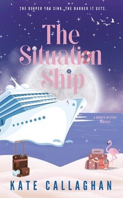 bokomslag Situation Ship