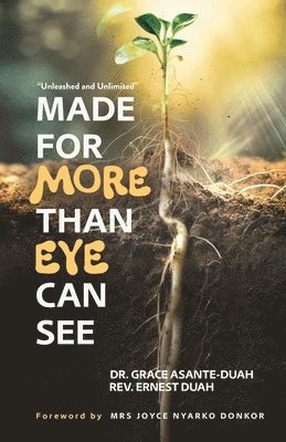 Made for More Than Eye Can see 1