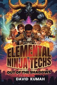 bokomslag Elemental Ninja Techs