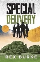 bokomslag Special Delivery