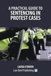 bokomslag Practical Guide to Sentencing in Protest Cases