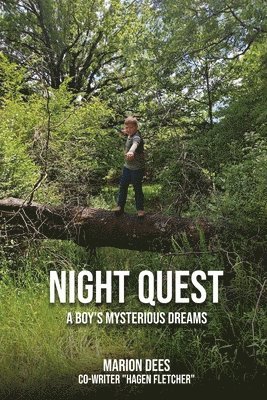 Night Quest 1