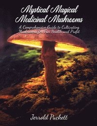 bokomslag Mystical Magical Medicinal Mushrooms