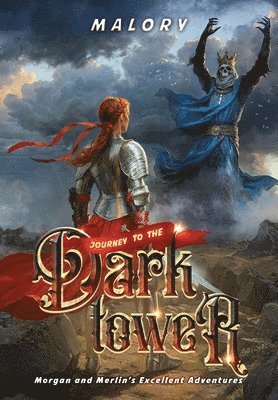 bokomslag Journey to the Dark Tower