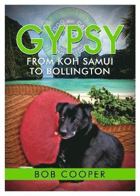 bokomslag Gypsy - From Koh Samui to Bollington