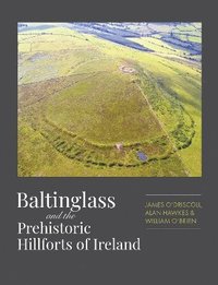 bokomslag Baltinglass and the Prehistoric Hillforts of Ireland