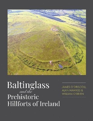 Baltinglass and the Prehistoric Hillforts of Ireland 1