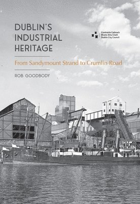 bokomslag Dublin's Industrial Heritage
