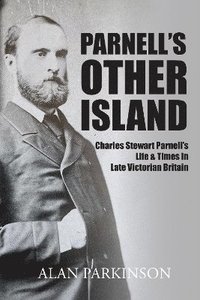 bokomslag Parnell's Other Island