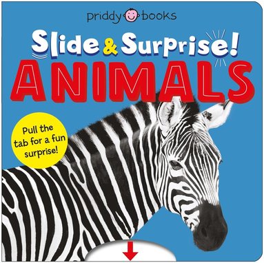 bokomslag Animals (Slide & Surprise!)