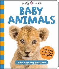 bokomslag Baby Animals (Little Kids, Big Questions)