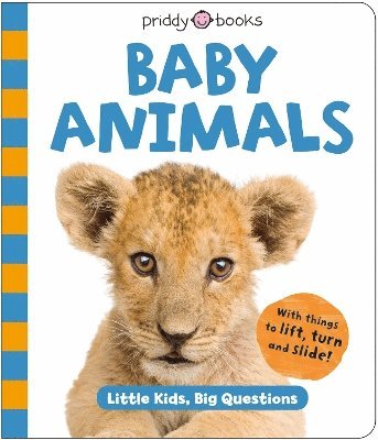 Baby Animals (Little Kids, Big Questions) 1