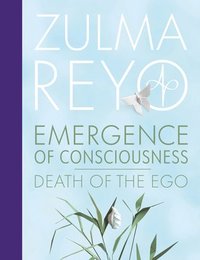 bokomslag Emergence Of Conciousness