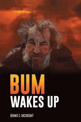 bokomslag Bum Wakes Up