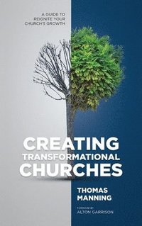 bokomslag Creating Transformational Churches