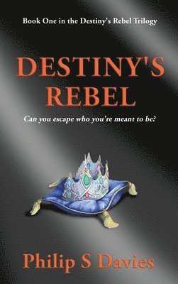 Destiny's Rebel 1