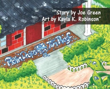 Joe Green, Kayla K Robinson - Rain Drops on a Tin Roof, Inbunden