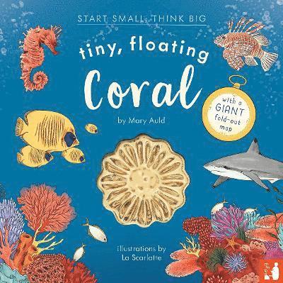 Tiny, Floating Coral 1