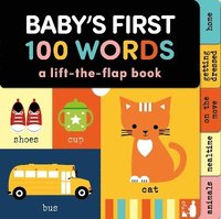 bokomslag Baby's First 100 Words