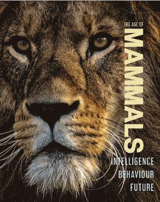bokomslag Age of Mammals