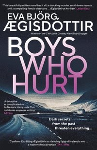 bokomslag Boys Who Hurt: Volume 5