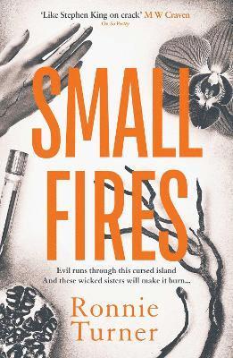 Small Fires 1