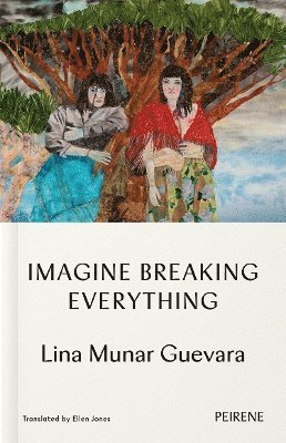 Imagine Breaking Everything