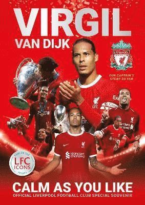 bokomslag Virgil van Dijk: Calm As You Like