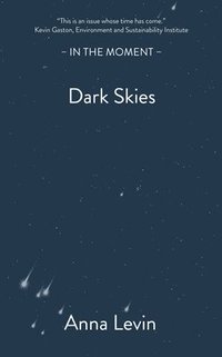 bokomslag Dark Skies