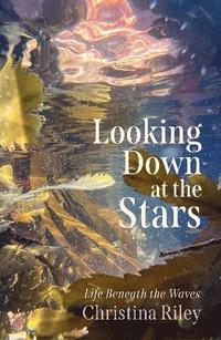 bokomslag Looking Down at the Stars