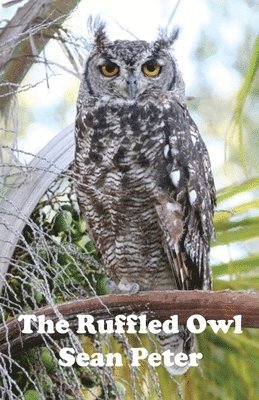 The Ruffled Owl 1