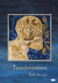 bokomslag Transformations