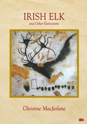 Irish Elk and Other Extinctions 1