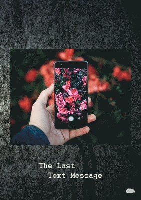 Mark Davidson - Last Text Message, Häftad