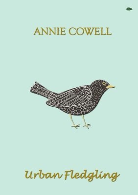 Urban Fledgling