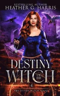 bokomslag Destiny of the Witch: An Urban Fantasy Novel