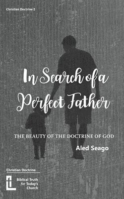 In Search of a Perfect Father 1