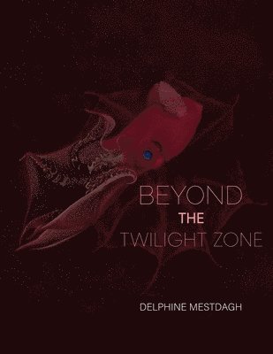 bokomslag Beyond the Twilightzone