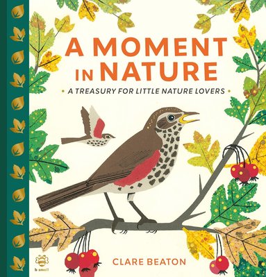 Clare Beaton - Moment in Nature, Inbunden