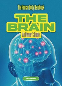 bokomslag Brain