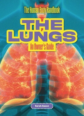 The Lungs 1