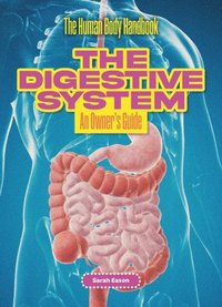 bokomslag The Digestive System